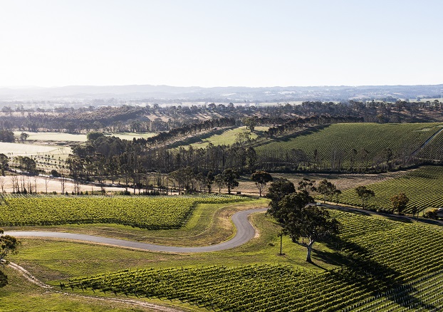 Petaluma - Adelaide Hills